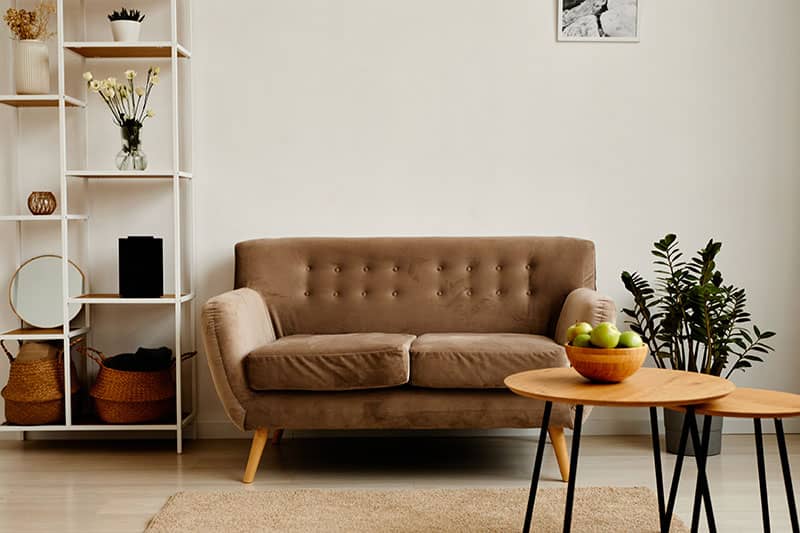 Living room with brown couch and minimal decor and accessories